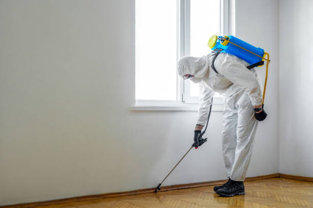 Best Indoor Pest Control  in Frazeysburg, OH